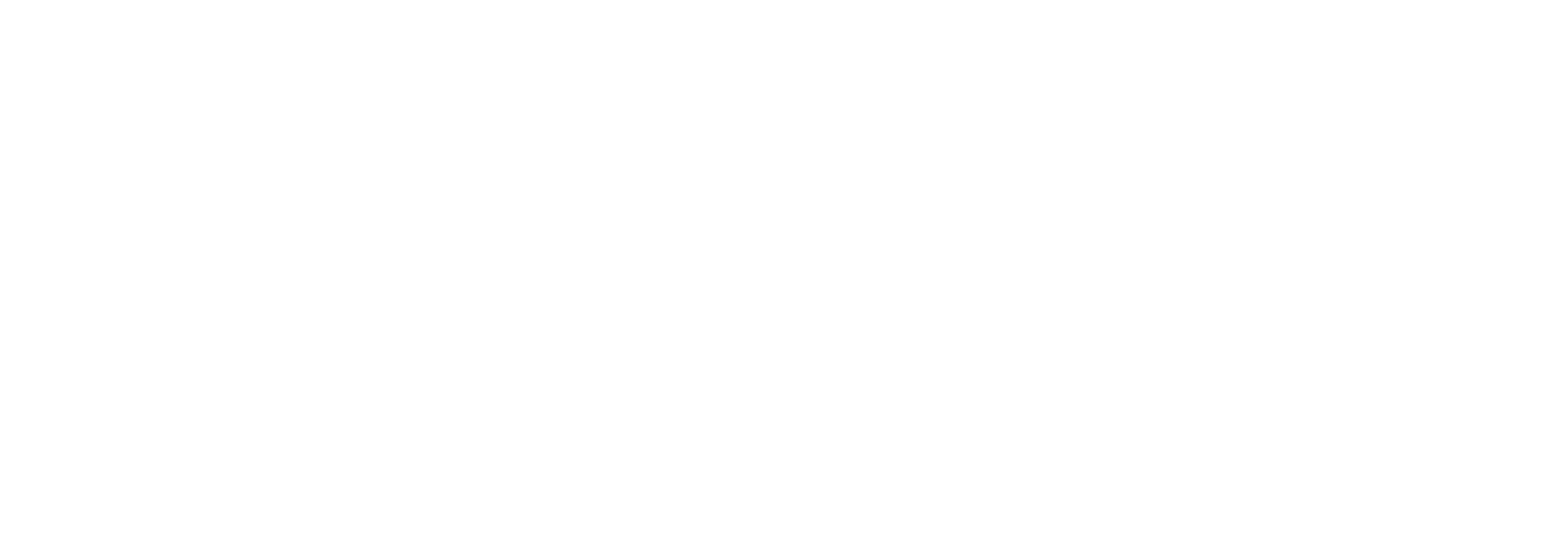VSM